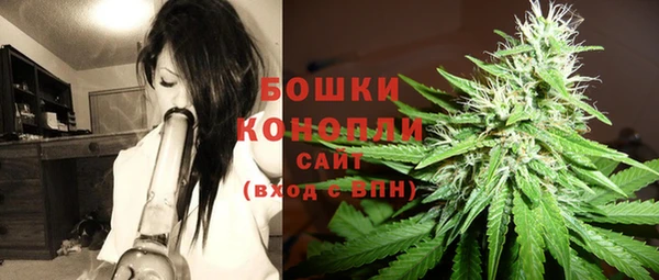 каннабис Беломорск